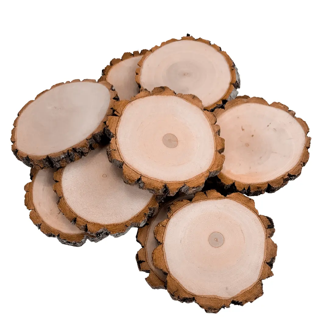 Premium Wood Slices 10 pack Premium Wood Slices 10 pack