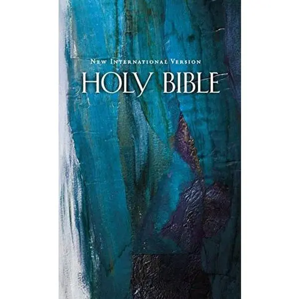 USED Book - NIV, Economy Bible, Hardcover, Blue by Zondervan (Hardcover) - english