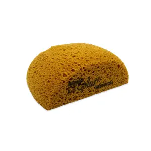 Hydra Sponge For Cleaning Headliners
