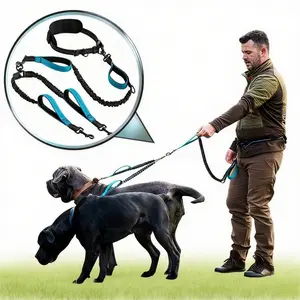 Hands Free Double Dog Leash – Dual Leash for Medium and Large Breeds – Lead for 2 Dogs with Padded Handles, Reflective Stitches, No Pull, Tangle Free