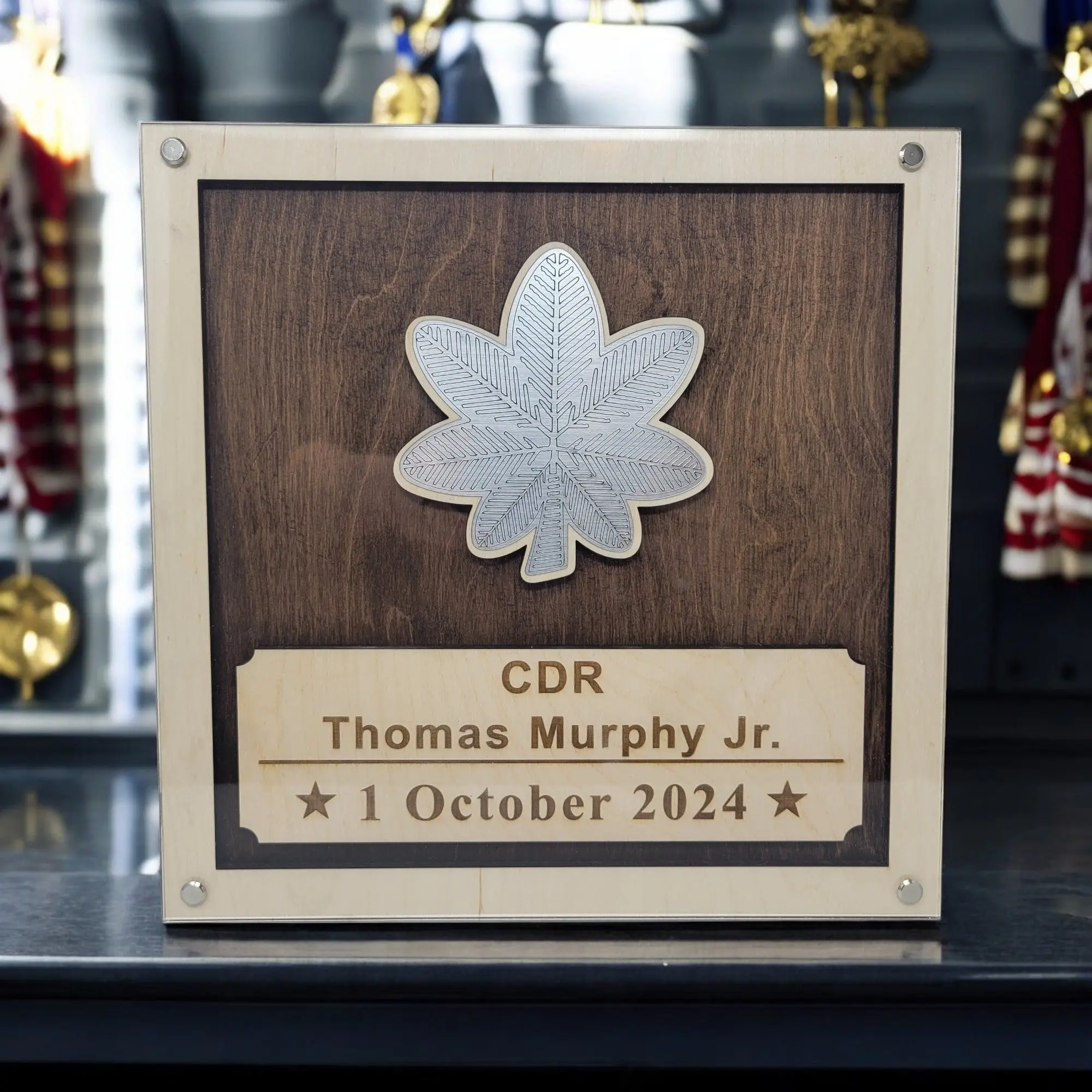 US Navy Promotion Gift Plaque, Military Promotion Gift for Officer or Enlisted Navy, Sailor Gift, Navy Gift, Navy Retirement, Navy Award