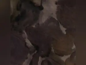 Lava Solids Batik | Rocky Road (1836) by Anthology Fabrics | 100% Cotton