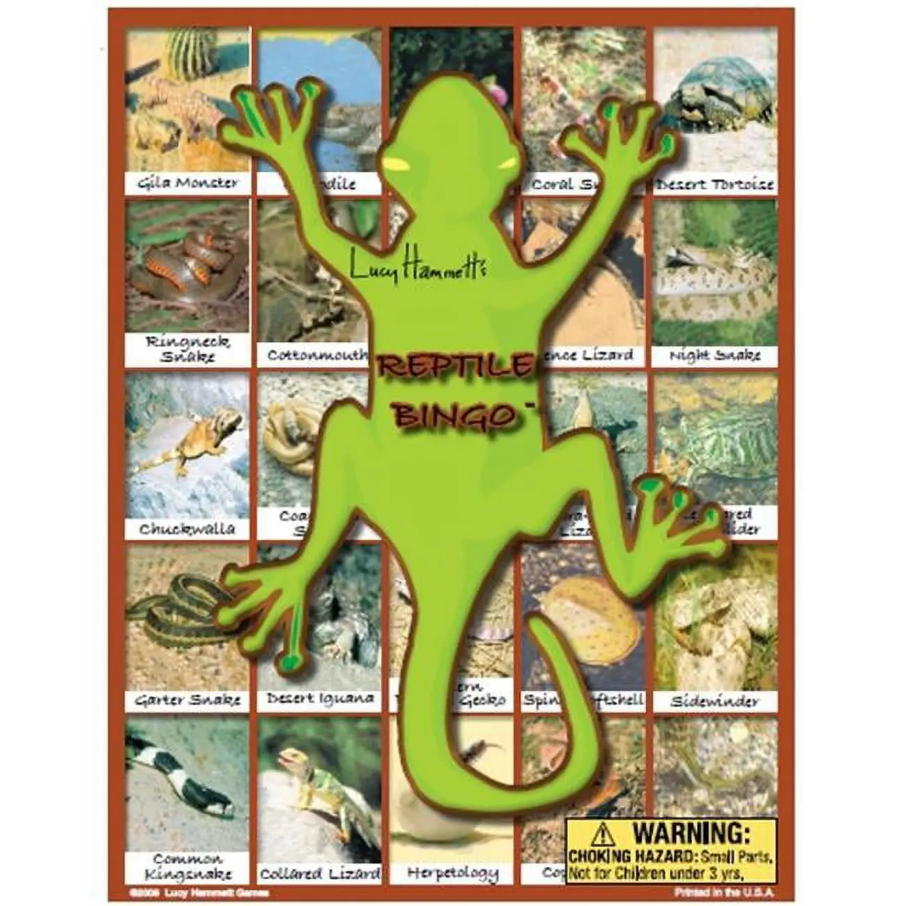 Lucy Hammett Reptile Bingo 6 Picture Boards, 42 Cards & Bingo Chips, All Ages