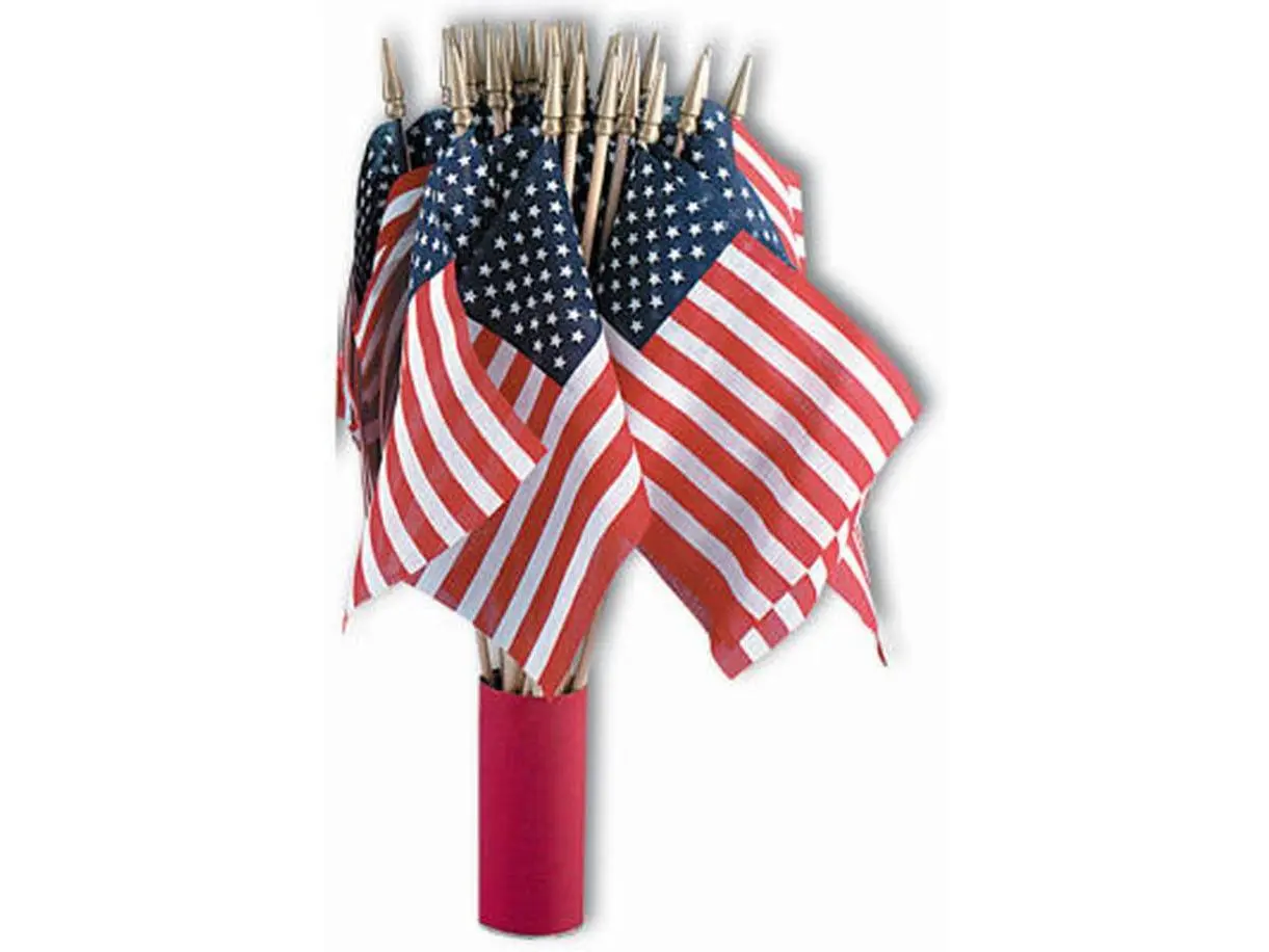 Patriotic 4x6 in Stars Stripes US Flag, 48-Pack Party Decor Hand Flags (Model 41192)