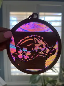 Arkansas Suncatcher for Sunny Window