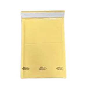 #0 | 6x10 | PADDED ENVELOPE | $1.09
