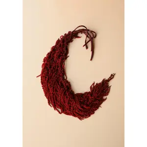 Hanging Amaranthus - Brick/Deep Red