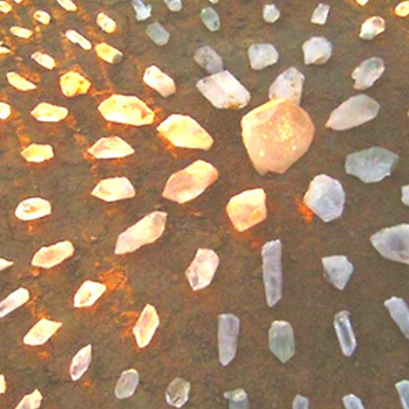 Aquaticans Fine Art Print by Michelle Crisanti Visionary Pen and Ink Drawing on Museum-Quality Paper Limited Edition with Certificate of Authenticity Ideal for Mythology Lovers and Sacred Spaces