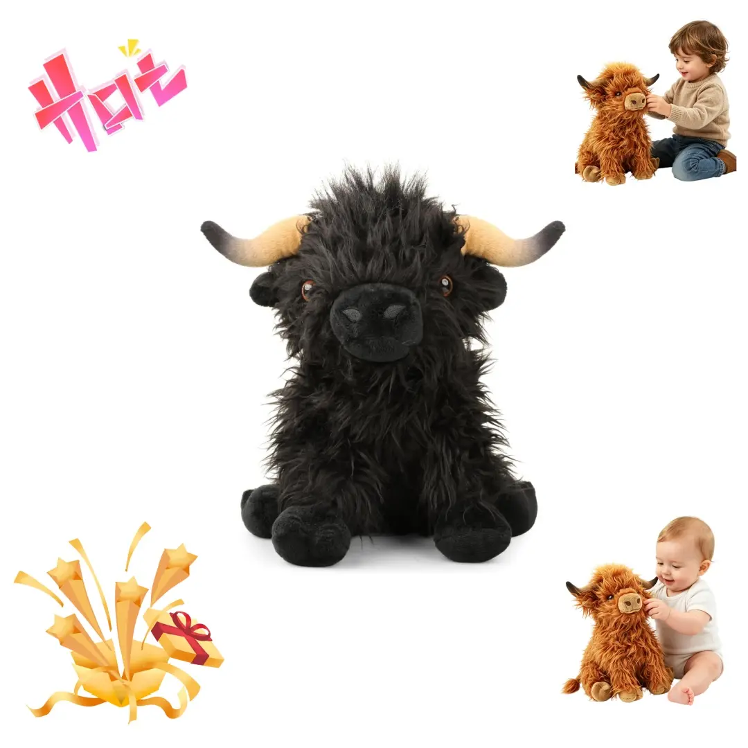 Black Highland Cow