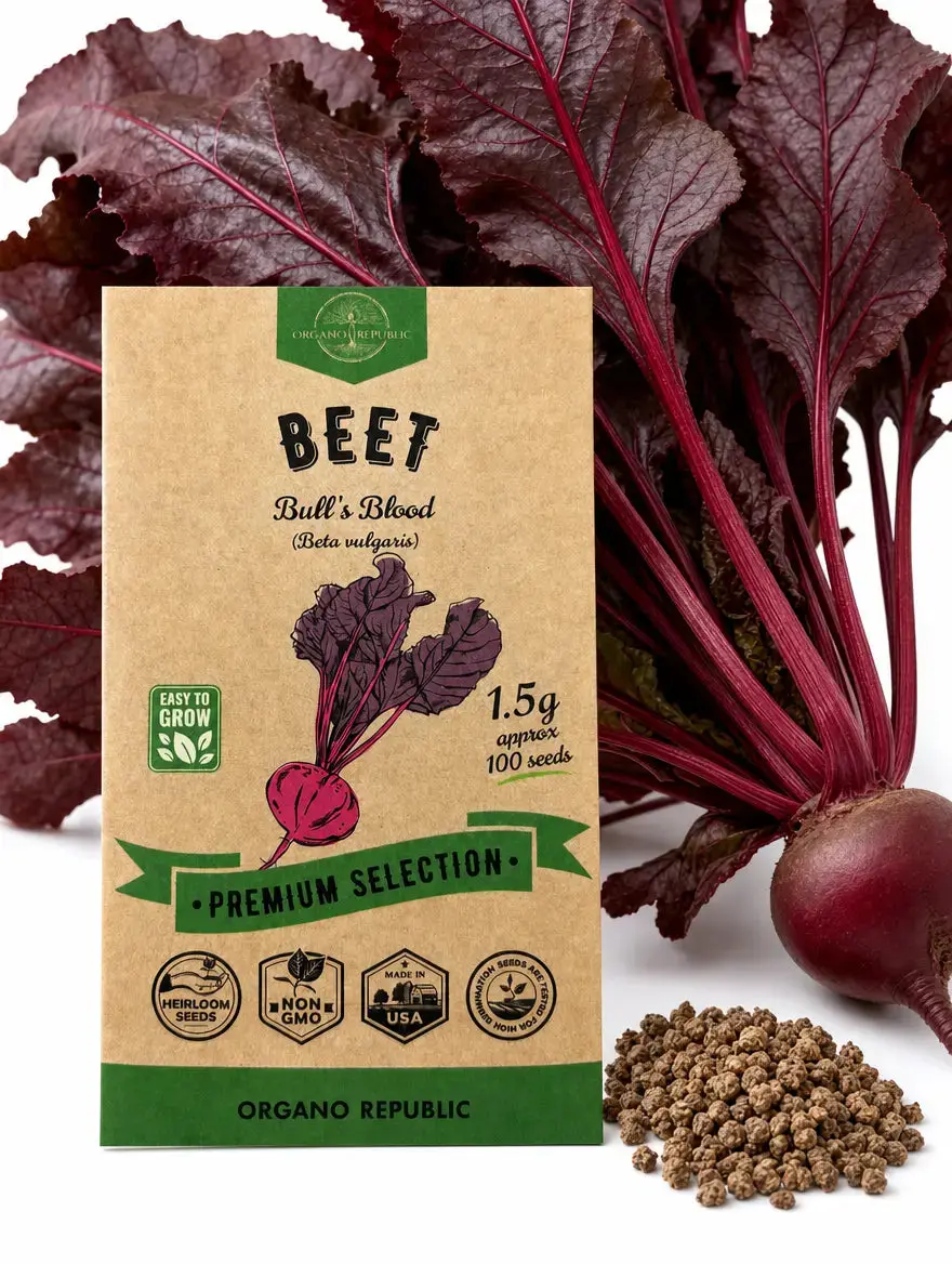 Bull's Blood Beet Seeds – Non-GMO Heirloom