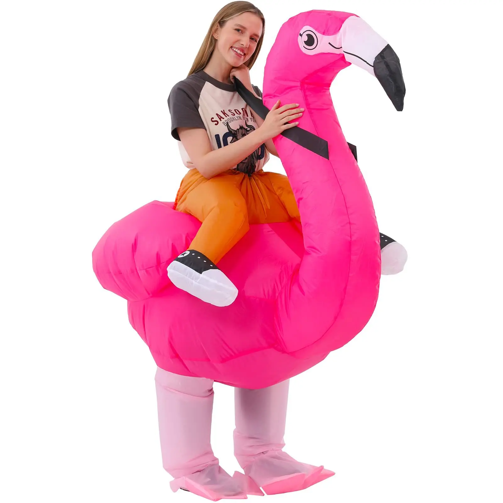 flamingo2