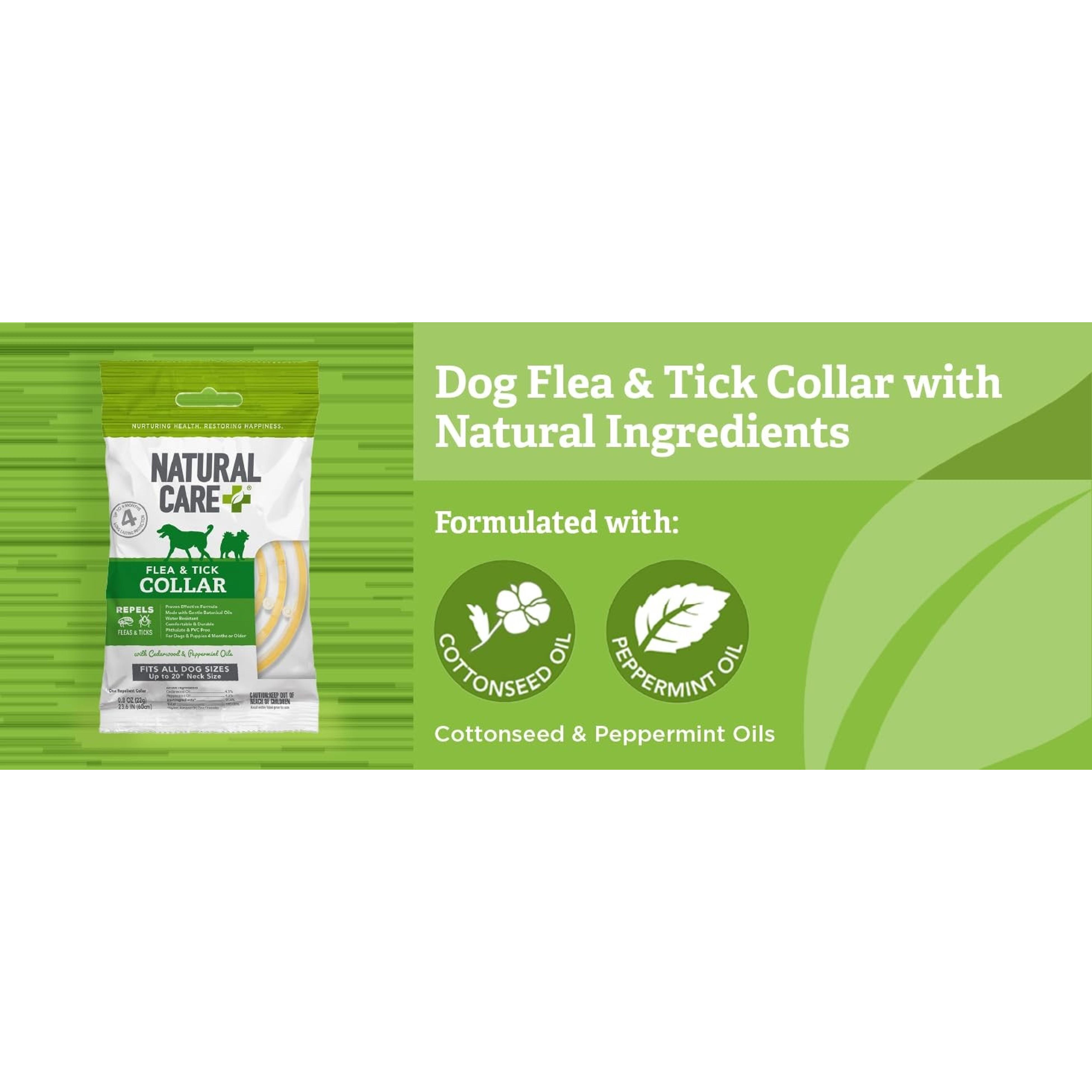 Flea & Tick Carpet Powder, 8.1oz – Carpet, Rug & Pet Bedding Treatment for Flea Prevention, Tick Control, Home Pest Control & Carpet Freshener, Easy ApplicationGift