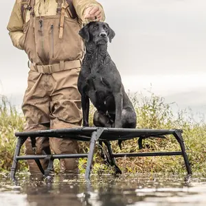 Elev8 Dog Stand Training Bundle