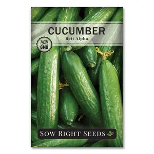Beit Alpha Cucumber Seeds