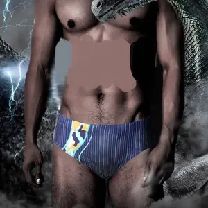 Men's Speedos Briefs Boxer Trunks Men