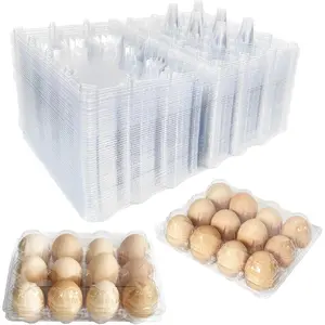 50-Pack Clear Plastic Egg Cartons – 12-Count Bulk Reusable Egg Storage Containers for Chicken Eggs, Farms, Markets, and Household Use