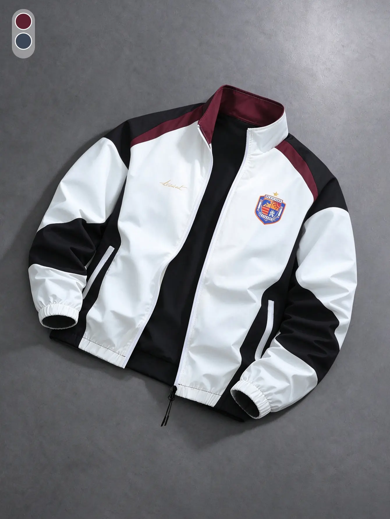 Men Color Block Stand Collar Windbreaker Jacket Full Zip Embroidered Badge Casual Track Jacket Spring Autumn Daily Street Sports Outerwear Multiple Colors