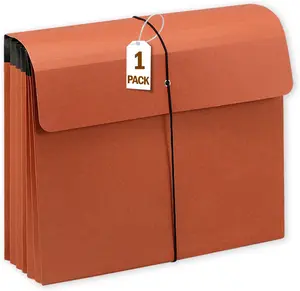 Expanding File Pockets with Flap,Heavy Duty Expandable Folder Bag,Elastic Cord Closure,Accordion File Organizer for Office,School,Home,Letter Size