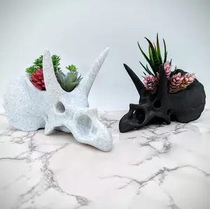 ChiclyBuilt Triceratops Skull Air Plant Holder, Stegosaurus, Cacti Succulent Planter, Dinosaur Decor