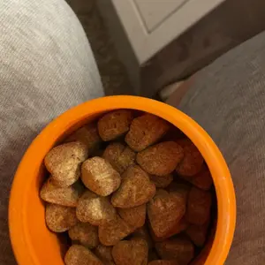 Product Review of Zesty Paws Probiotic Bites for Dogs - Canine Nutritional Supplement with Six Probiotics for Gut Health & Immune Function from E**a