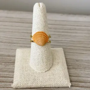 Stainless Steel Shell Ring