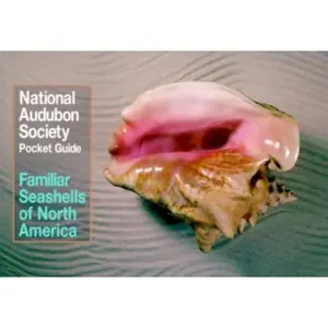USED-National Audubon Society Pocket Guide to Familiar Seashells (Audubon Society Pocket Guides) by National Audubon Society (Paperback)