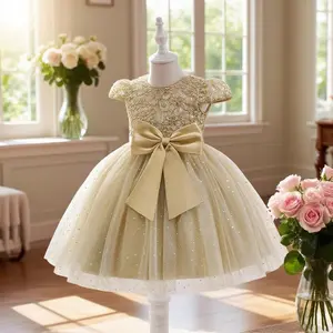 525 Young Girl Mesh Princess Party Dress Suitable For Birthday Party Valentine's Day Gift Ball Party Girl Casual Instrument Performance Stage Performance