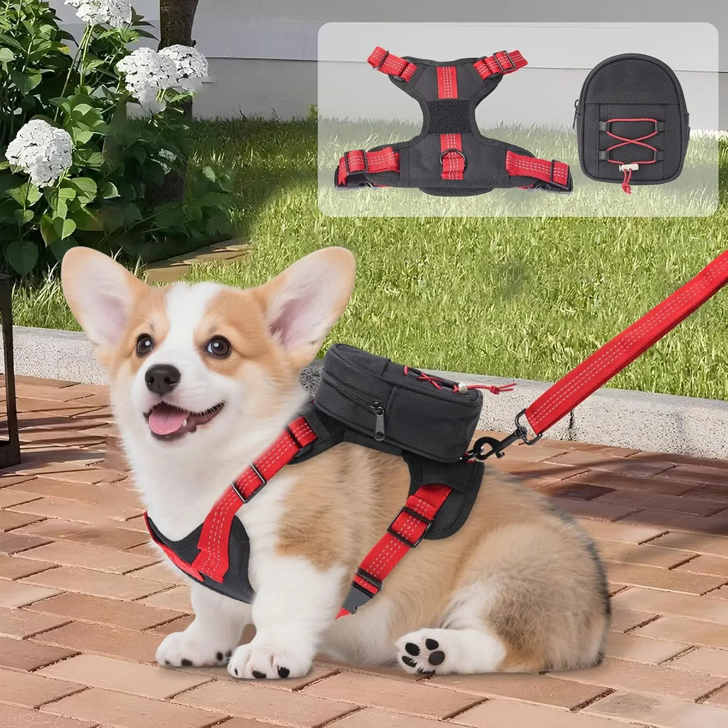 Adjustable Lightweight Dog Backpack Harness for Small & Medium Dogs, Detachable Carrier with Leash, Water Resistant for Hiking Training Daily Walks, Size M