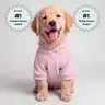 Comfrt Paws | Camo Hoodie | Soft Matching Camo Pet Hoodie