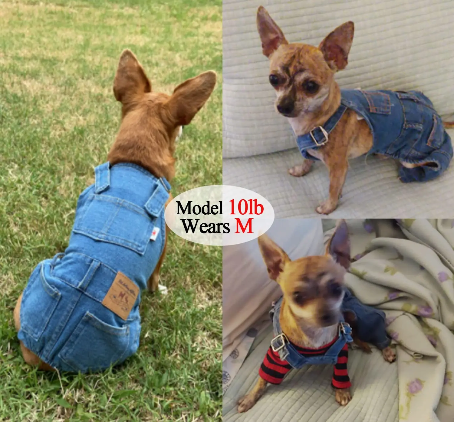 Dog & Cat Denim Overalls - Cotton Clothes with Adjustable Belt, Unique Design, 10.2” Back Length, All-Seasons Comfortable Blue Medium Jumpsuit, Halloween Costume for Small-Medium Pets, M