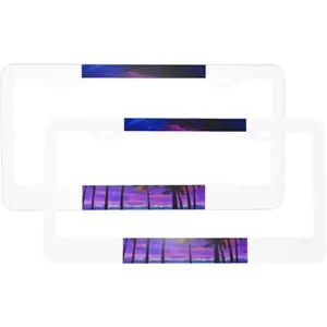 Neon Night Painting License Plate Frames 2 Pcs Universal Aluminum Tag Frame, with 2 Holes and Screws  for Men/Women Car Accessories Decor ﻿