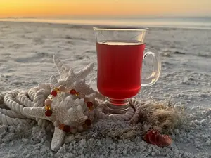 SolGlo Herbal Tea + Radiance Bracelet Kit for Energy & Joy Caffeine-Free Handcrafted with Sunstone & Citrine for Adults Daytime Ritual Set