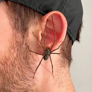 Realistic Spider Earrings for Halloween & Christmas - Elegant Copper Dangle Earrings with Black & White Spider Design, Perfect for Costume Parties, Cosplay, and Festive Celebrations, Festive Earrings |   Realistic Earrings |   Durable Earrings,