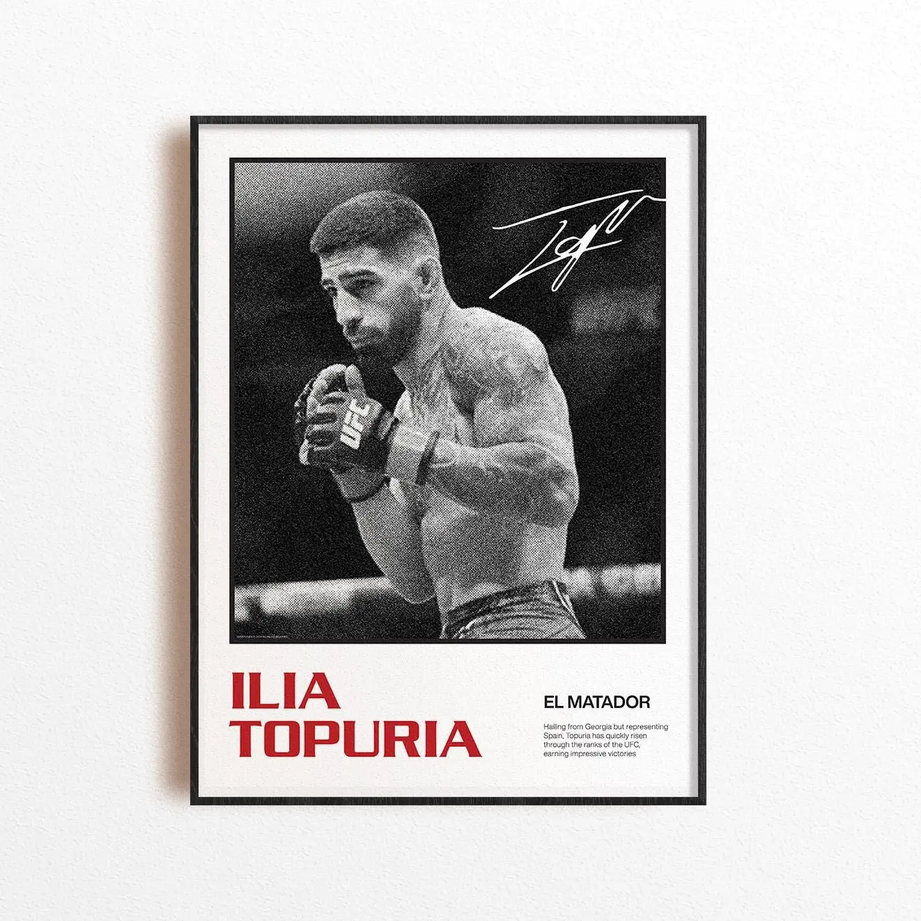 Ilia Topuria Art Print, Mixed Martial Arts Wall Decor, Home Gym Decoration, Sports Gift, UFC Fighter POSTER UNFRAMED, MMA Art