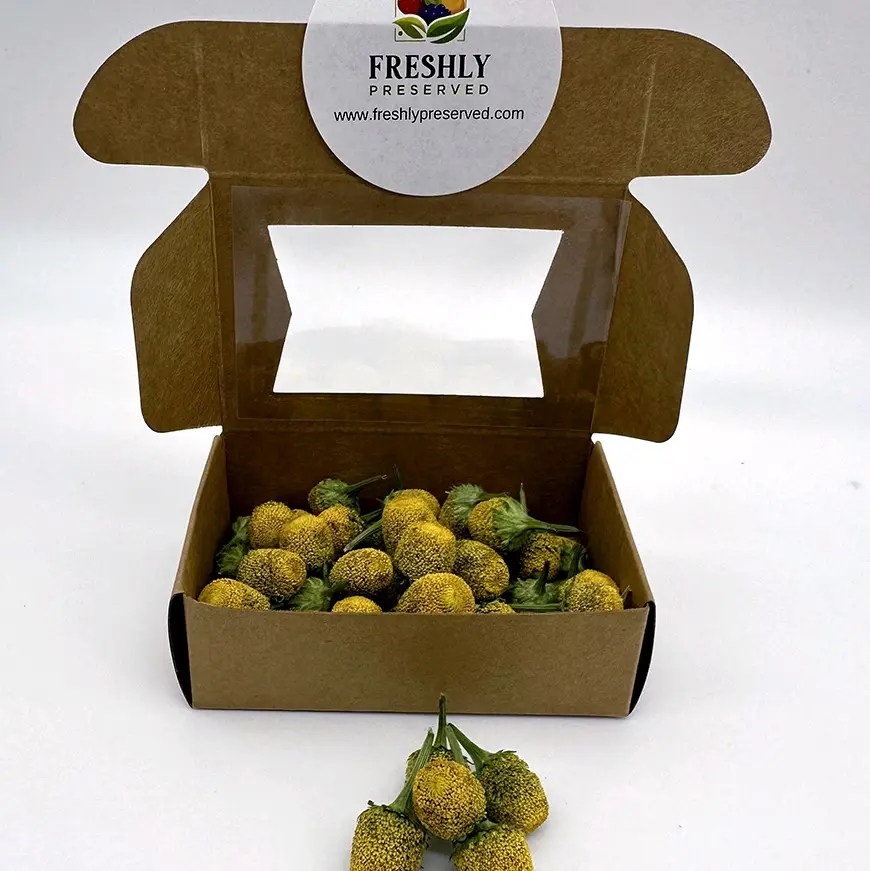 Freshly Preserved Freeze-dried Edible Flowers Buzz Buttons, Vegan, Sustainable, No Preservatives, Gluten Free, Grown and Freeze-dried in USA