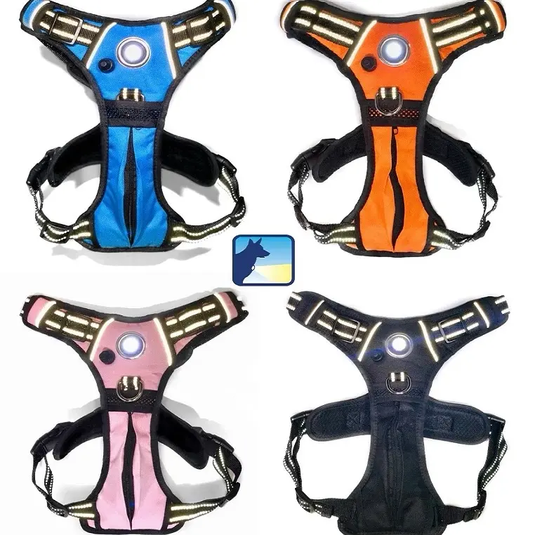 Headlight Harness Dog Harness
