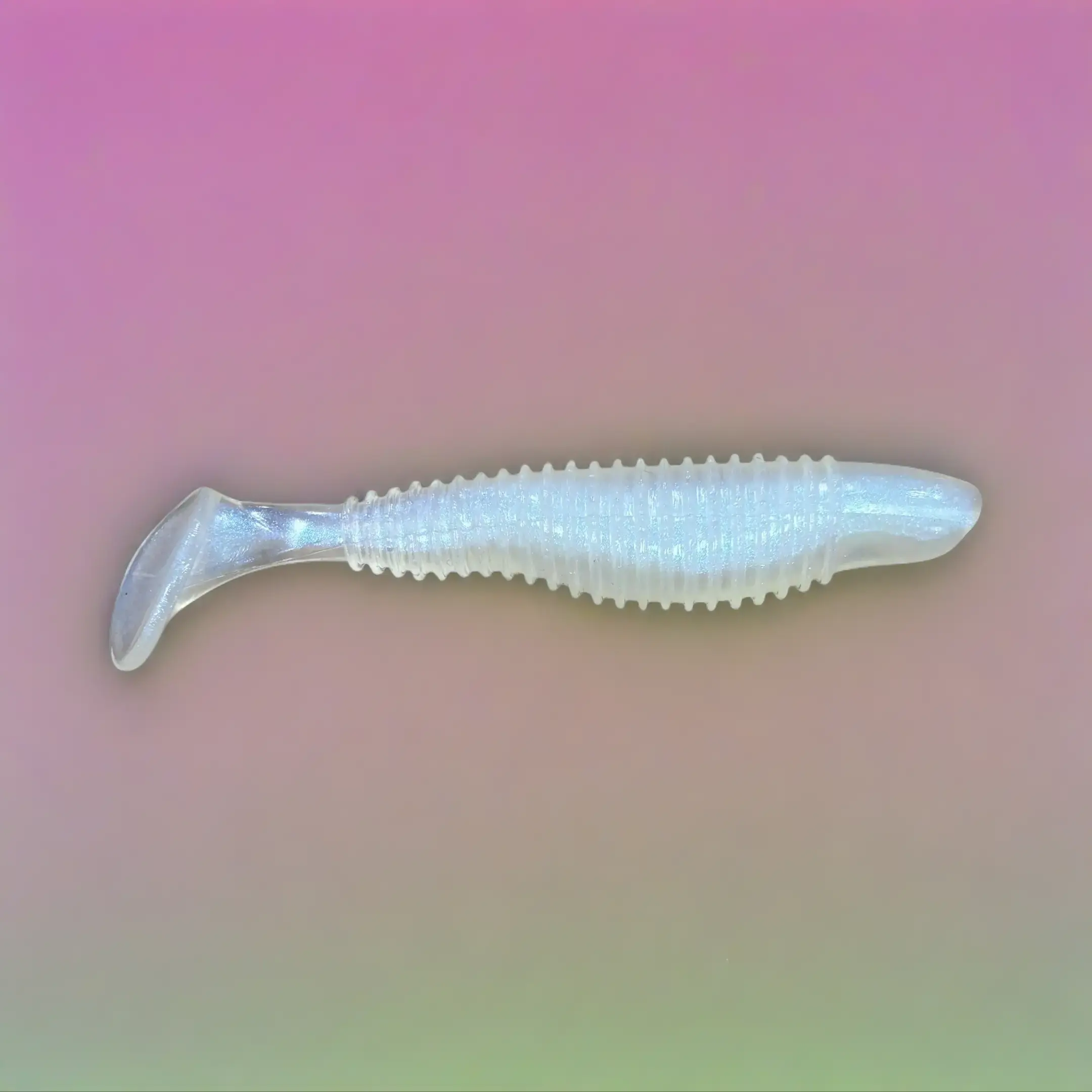 Chompers 3.5" Swimbait   Blue Pearl  8 pack