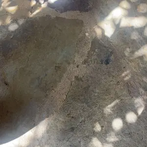 review image 6