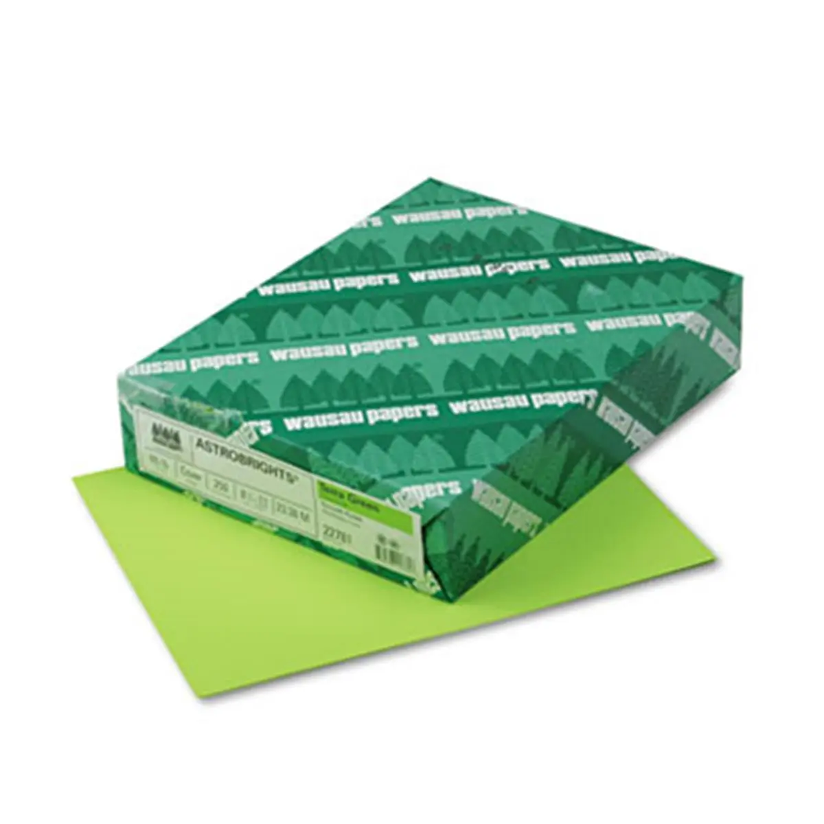 Terra Durable 65 lbs 8.5x11 Astrobrights Terra Green Colored Cardstock - 250 Sheets, Acid-Free Wood-Based, Laser/Inkjet Compatible for DIY Scrapbooking & Stamping, Durable Cardstock