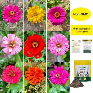 Zinnia Seeds Pack for 2026 – 1000 Non GMO Flower Seeds | Vibrant Zinnia Elegans for Pollinator Gardens, Borders & Containers | Easy-to-Grow Outdoor Blooms, Zinnia Seed Mix