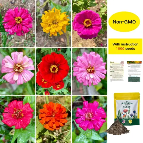 Zinnia Elegans Flower Seeds Pack 2026 - 1000+ Non-GMO, Easy-to-Grow Outdoor Blooms with Bright Colors, 2tone Dramatic Edge, 8-10wk Blooming Flowering Seeds for Pollinator Gardens & Borders
