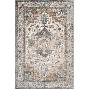 Sian Persian Vintage Medallion Area Rug