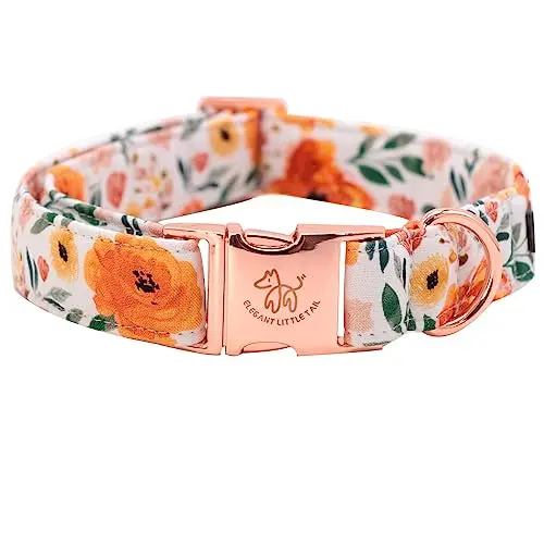 Orange Floral