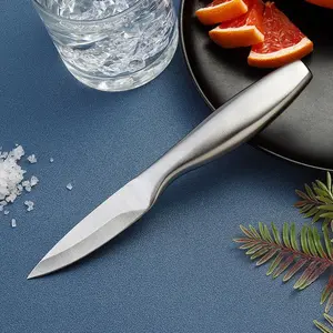 1 high-end stainless steel kitchen knife, dining knife, fruit knife, Japanese chef knife peeler, perfect gift for cooking enthusiasts