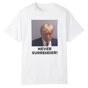Troy Nehls Never Surrender Shirt, sweatshirt, hoodies, tik tokshop, tik tok shop, cheap graphic tees, shirts, Shirts, free shipping