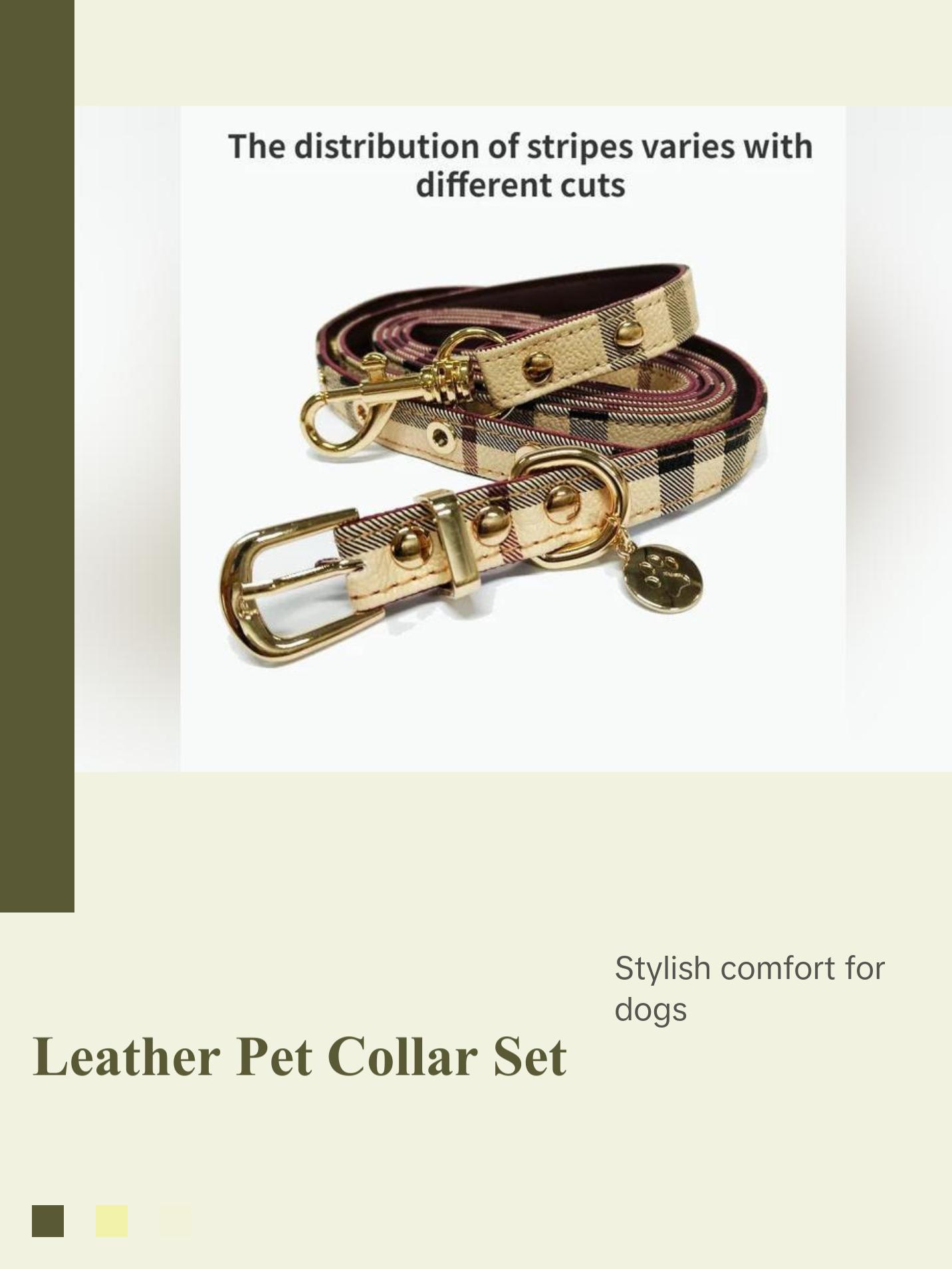 Leather Pet Collar and Leash Set