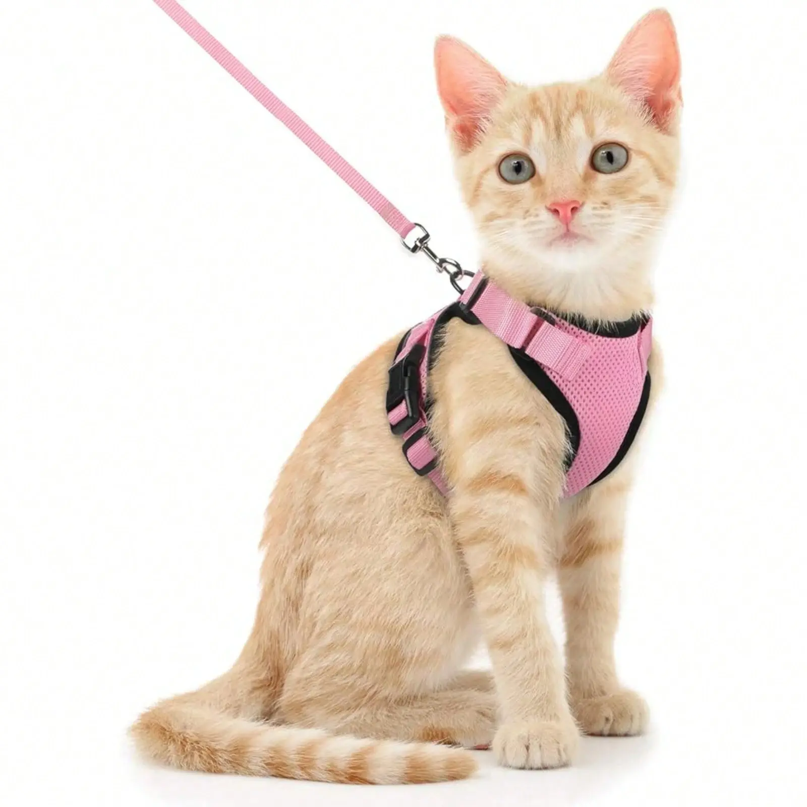 Adjustable  Cat Traction Rope with Reflective Rope Vest-Type Pet Chest Strap Walking Harness Safety Harnesses Swivel Leash