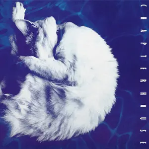 Chapterhouse - Whirlpool - Limited 180-Gram White & Black Marble Colored Vinyl  [VINYL RECORD - LP] Black, Colored Vinyl, Ltd Ed, 180 Gram, White, Holland - Import