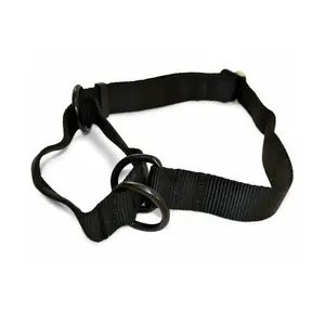 Ray Allen Martingale Nylon Collar for Dogs – Adjustable Training Collar for Better Control