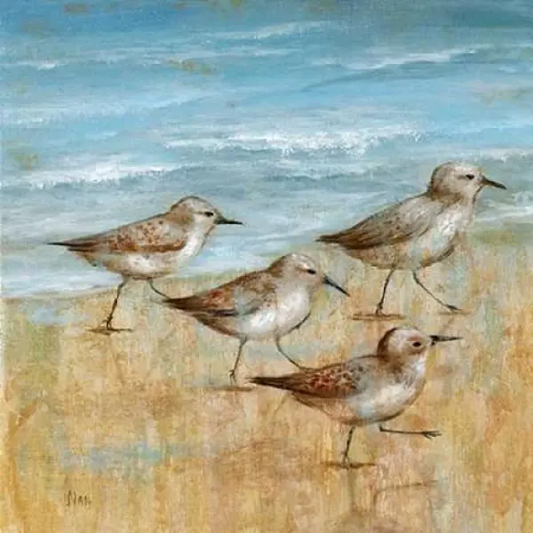 Galaxy of Graphics PDX14970LARGE Sandpipers I Poster Print by Nan, 24 x 24 - Large